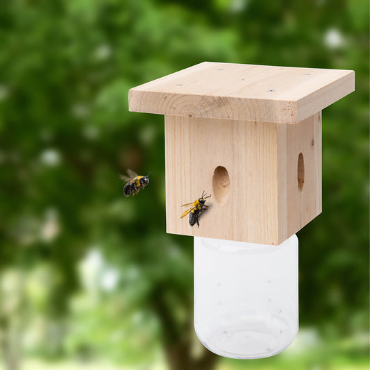 Modern Flat-Roof Carpenter Bee Traps