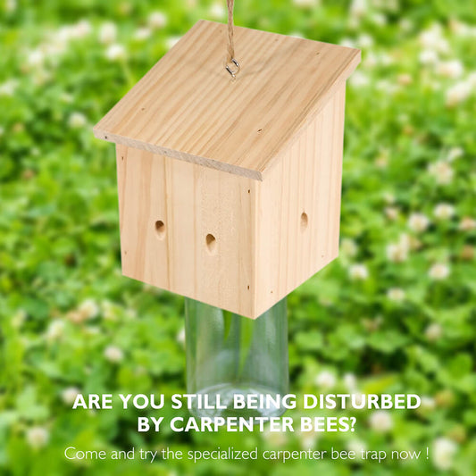 Nature Pentroof Style Carpenter Bee Traps