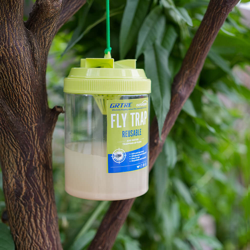 Fly Trap