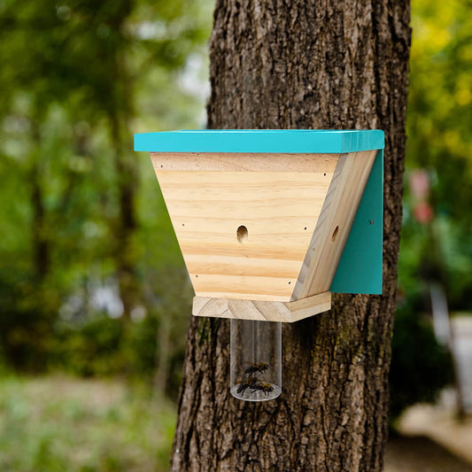 Best Bee Trap Wood Carpenter Bee Trap