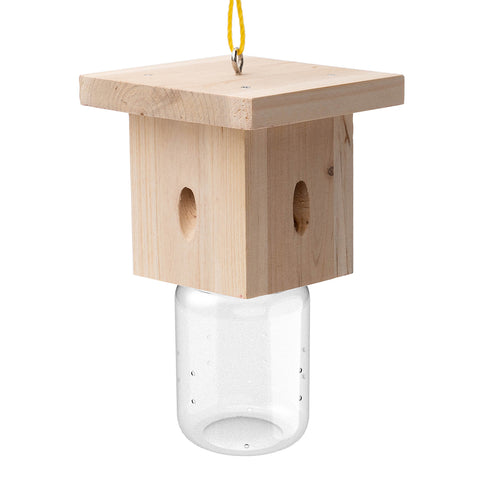 Modern Flat-Roof Carpenter Bee Traps