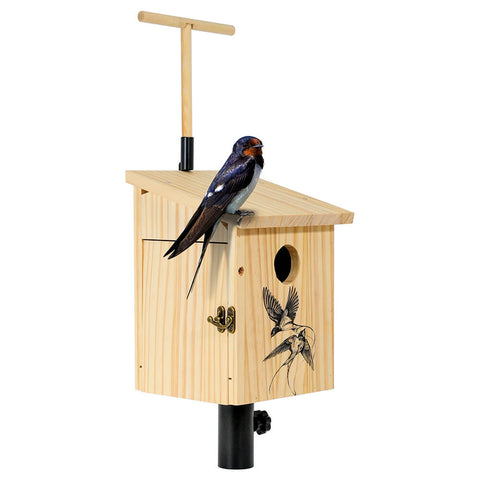 Fly Elimination Swallow Bird House