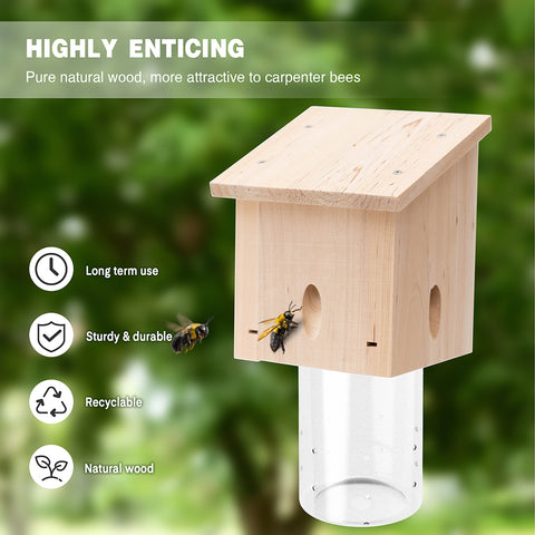 Best-Selling Carpenter Bee Traps