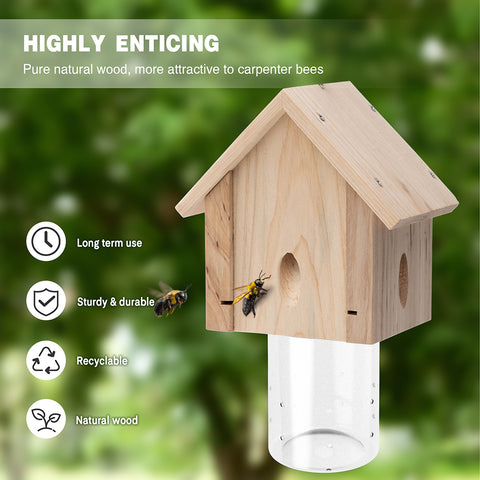 Best-Selling Carpenter Bee Traps