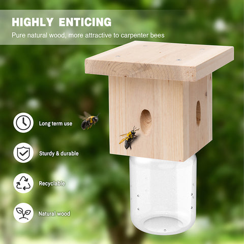 Modern Flat-Roof Carpenter Bee Traps
