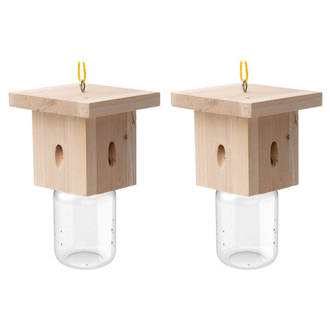 Modern Flat-Roof Carpenter Bee Traps