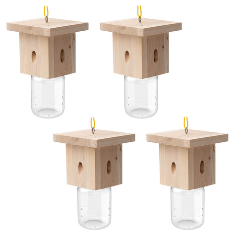 Modern Flat-Roof Carpenter Bee Traps