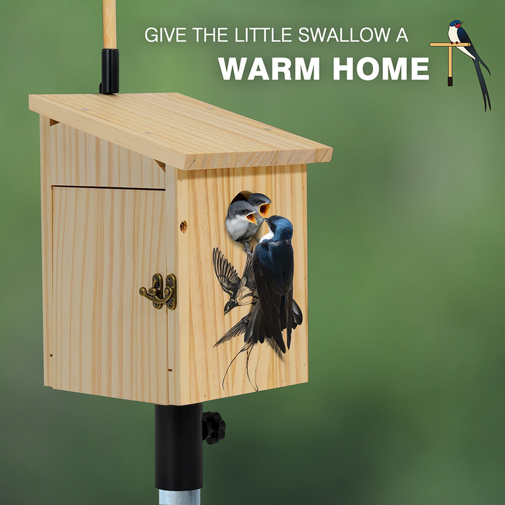 Bird House