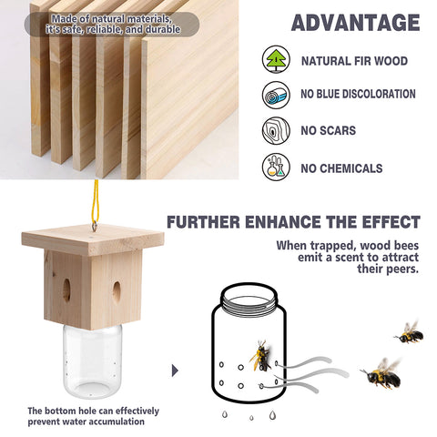 Modern Flat-Roof Carpenter Bee Traps
