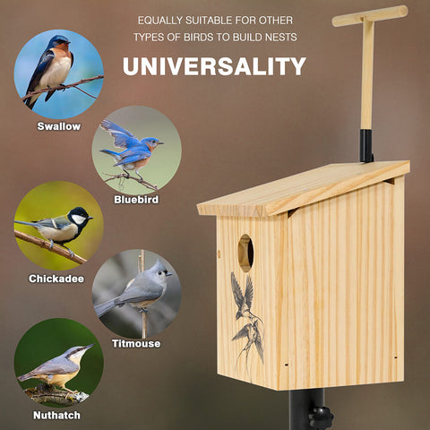 Fly Elimination Swallow Bird House