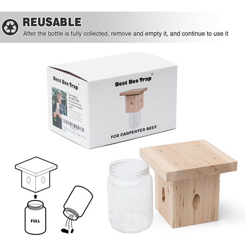 Modern Flat-Roof Carpenter Bee Traps