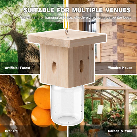 Modern Flat-Roof Carpenter Bee Traps