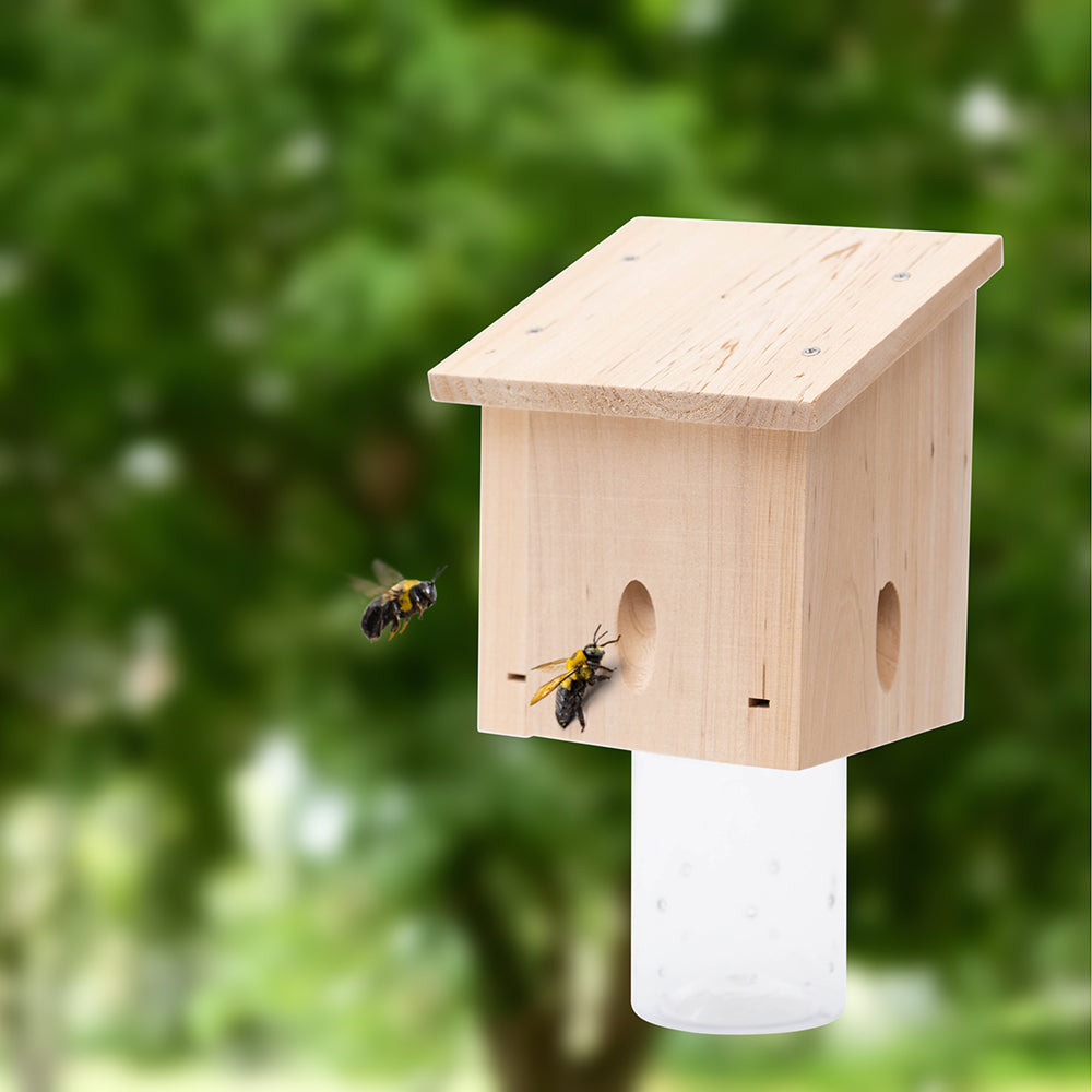 Compact Carpenter Bee Traps