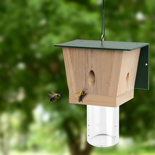 Best Bee Trap Wood Carpenter Bee Trap