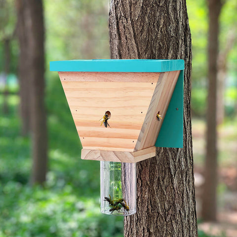 Best Bee Trap Wood Carpenter Bee Trap