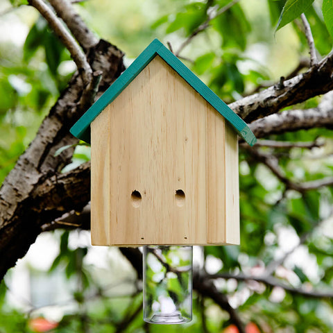 Nature Cabin Style Carpenter Bee Traps