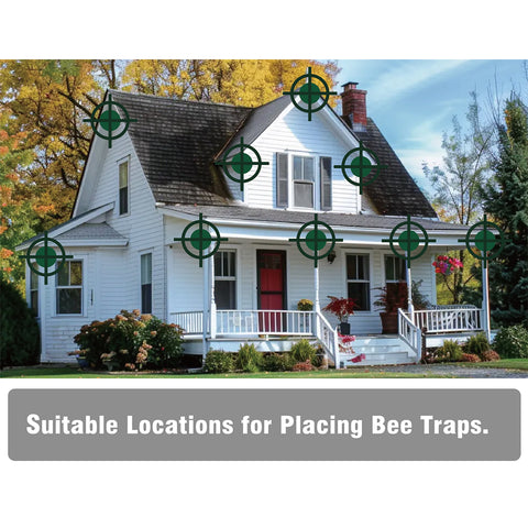 Compact Carpenter Bee Traps