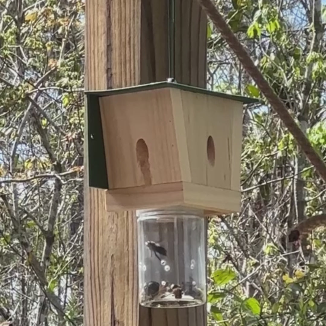 Best Bee Trap Wood Carpenter Bee Trap