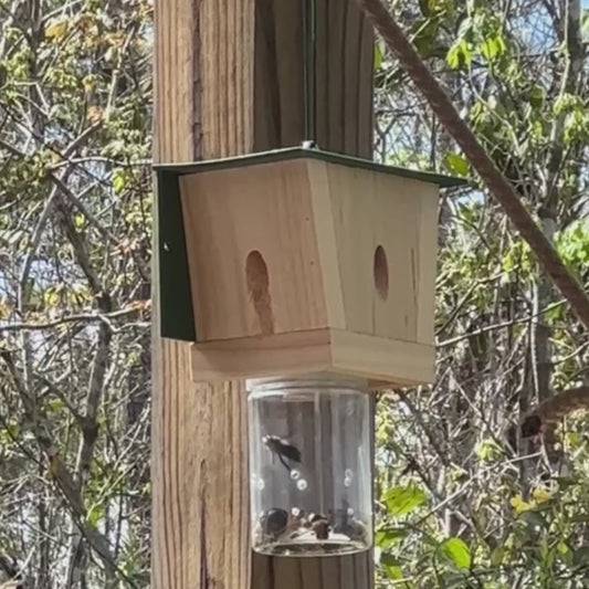 Best Bee Trap Wood Carpenter Bee Trap