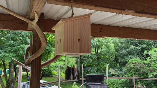 Nature Pentroof Style Carpenter Bee Traps
