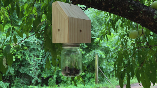 Nature Pentroof Style Carpenter Bee Traps
