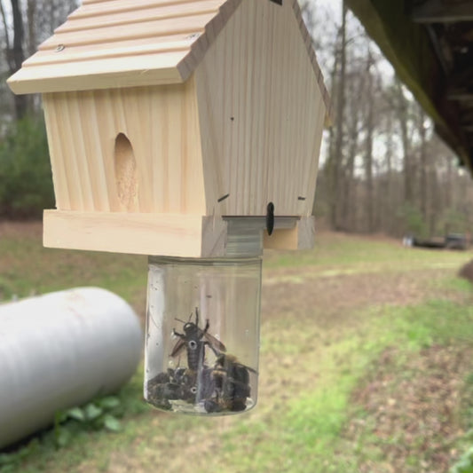 Classic Wooden Carpenter Bee Traps