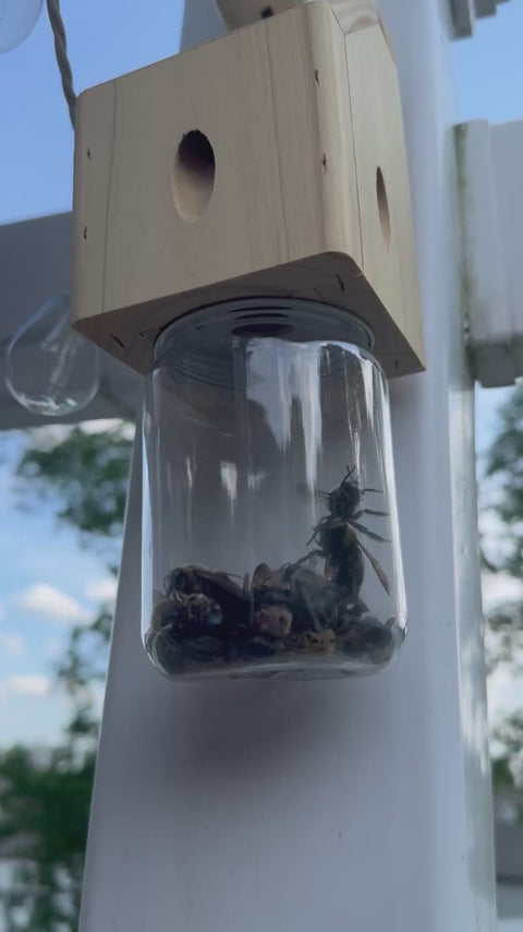 Compact Sloped-Roof Carpenter Bee Traps