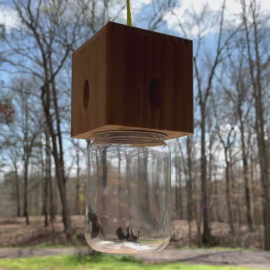 Minimalist Wooden Block Carpenter Bee Traps